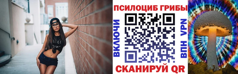 Галлюциногенные грибы мицелий  Закаменск 